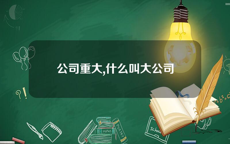 公司重大,什么叫大公司