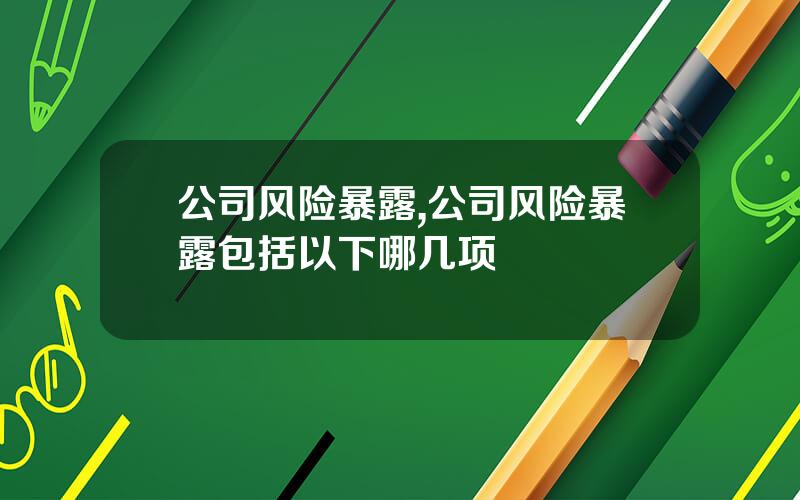 公司风险暴露,公司风险暴露包括以下哪几项
