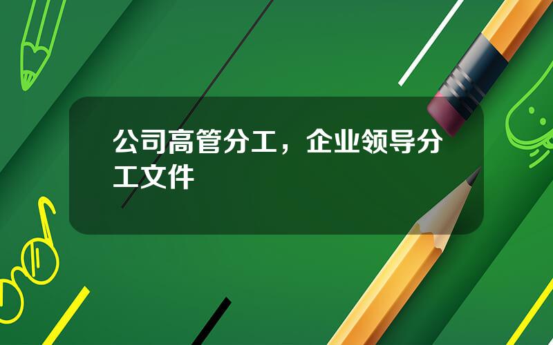 公司高管分工，企业领导分工文件