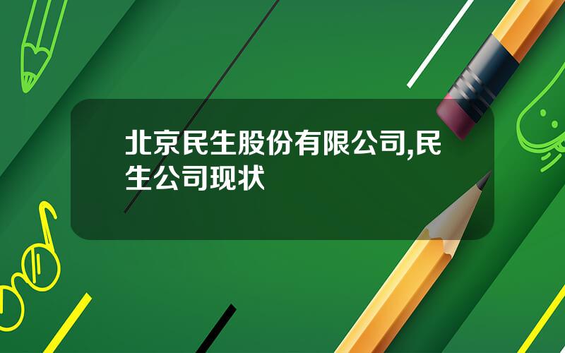 北京民生股份有限公司,民生公司现状