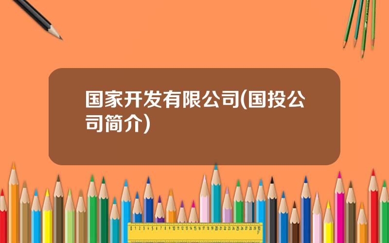 国家开发有限公司(国投公司简介)
