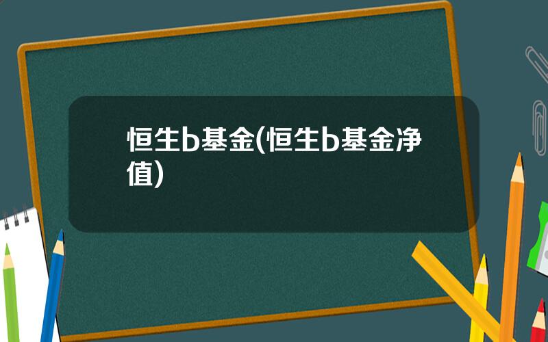 恒生b基金(恒生b基金净值)