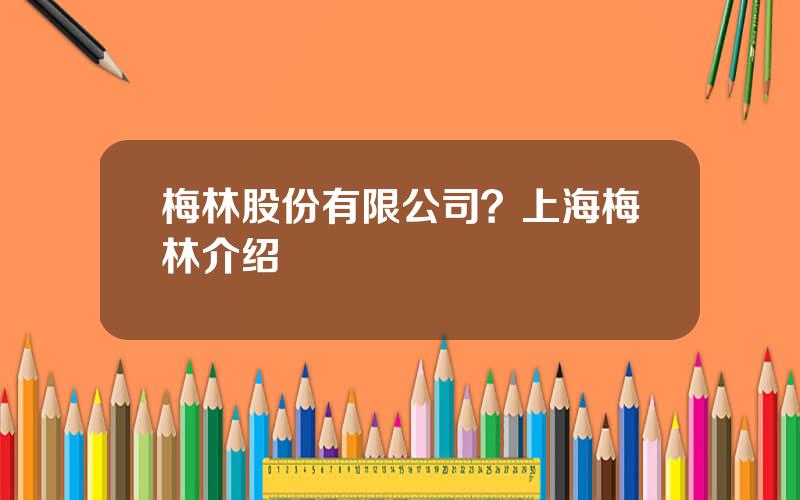 梅林股份有限公司？上海梅林介绍