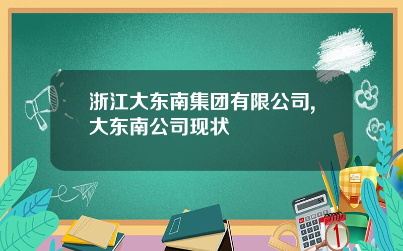 浙江大东南集团有限公司,大东南公司现状