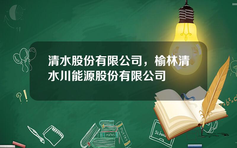 清水股份有限公司，榆林清水川能源股份有限公司